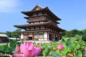 夏の奈良市の世界文化遺産薬師寺の金堂
