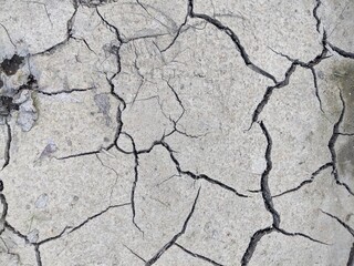 dry gray earth with cracks