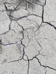 dry gray earth with cracks