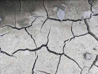 dry gray earth with cracks