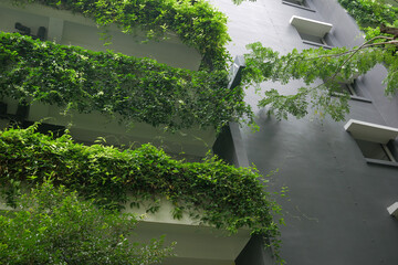  building with plants growing on the facade