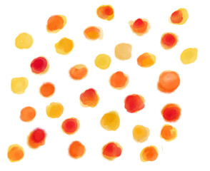 Watercolor painting decoration element dots dashs colorful artistic texture illustration