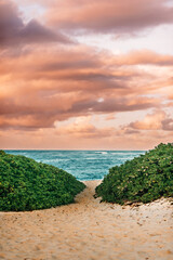 A dramatic orange sunset behind a cozy path to a turquoise beach with room for copy
