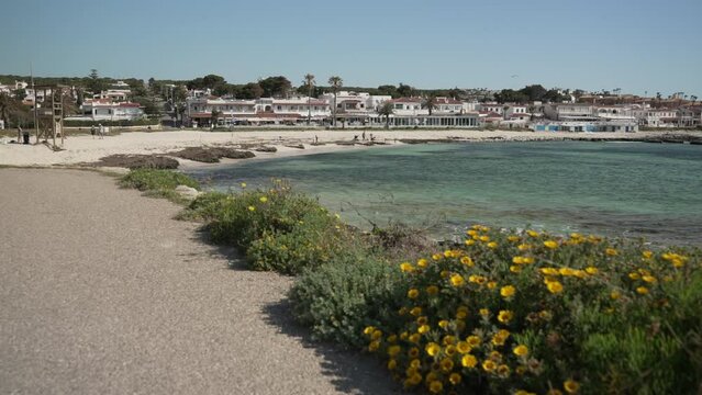 Flowers and people on sandy beach at Punta Prima, Punta Prima, Menorca, Balearic Islands