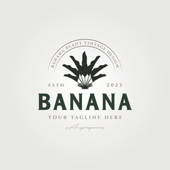 vector of banana tree logo template symbol illustration design