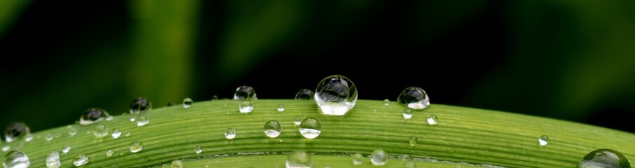 After the rain, Sainte-Apolline, Québec, Canada