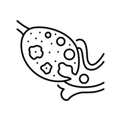 Ovulation olor line icon. Female reproductive system. Pictogram for web page, mobile app, promo.