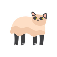 cute little cat