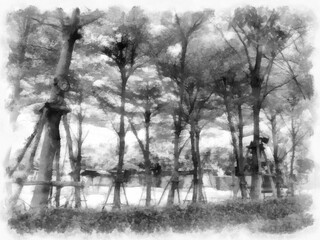 group of trees in the garden watercolor style illustration impressionist painting.