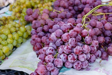 Cluster of red grapes from organic vineyards, for consumption or preparation of wine for sale in a market.