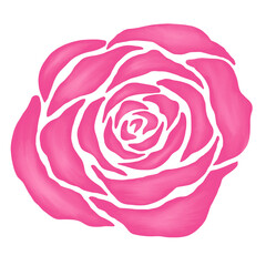 pink rose flower illustration