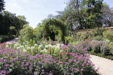 Jardin botanique