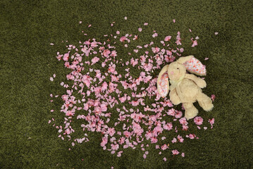 newborn photoshoot digital backdrop/background for spring/easter with cherry blossoms and teddy...