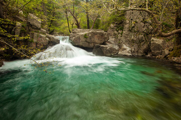 Fototapeta premium waterfall in the forest