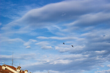 Beautiful sky with white clouds background. Light cumulus clouds in the blue sky