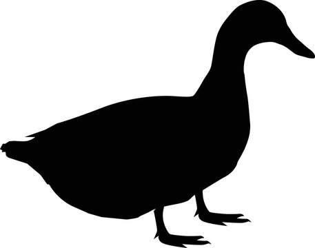 duck silhouette on white background. duck sign. flat style.