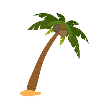 Palm tree or coconut tree cartoon image in summer On the beach Seaside tropics vector illustration.