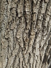 texture