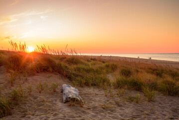 Sand dunes along a beach at sunset in autumn. People strolling along the shore are visible in...