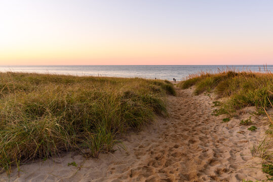 Path through grassy sand dunes to a beach at sunset in autumn