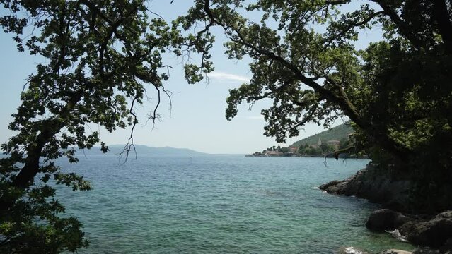 Trees, lady in sun hat and coastline of Adriatic Sea with Lovran in background, Lovran, Eastern Istria