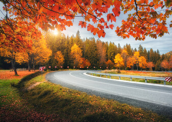 Road in autumn forest at sunset. Beautiful empty mountain roadway