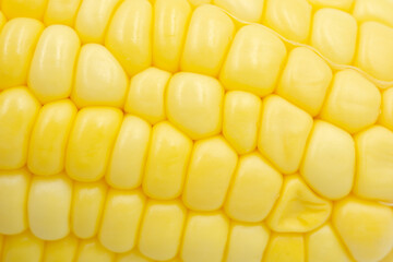 Close up Raw corn kernels in rows.
