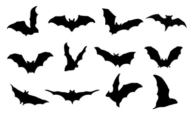 Fototapeta Bat vector set obraz