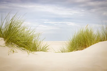 Poster Dune landscape with grass and cloudy sky