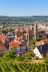 View on Esslingen town with ancient townhall and church travel traveling portrait format in Germany