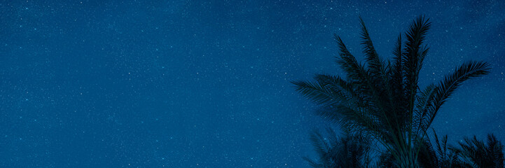 The moon shines at night over palm trees on the sea