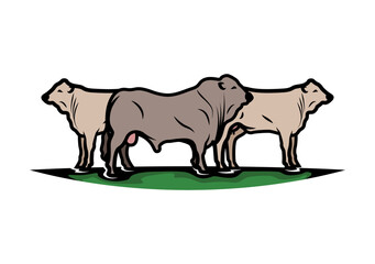 ROMAGNOLA COW VECTOR