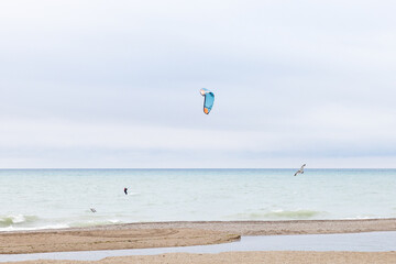 Single kitesurfer in the water of Lake Michigan along with two seagulls flying around. Sandy beach with footprints. Puddles of water pool on the beach. Colorful kite flying in the sky. 