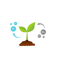 Suction tree gas and emissions (CO2,O2)