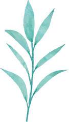 Watercolor Leaves Illustration leaf for Decorative Element