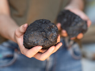 Węgiel - bryłki węgla w dłoniach