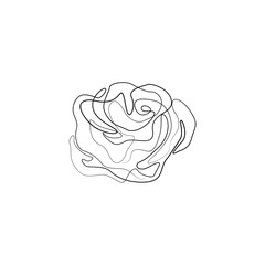 Rose continuous line drawing, tattoo, print for clothes and logo design, decorative flower silhouette single line on a white background, isolated vector illustration.