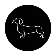 Dachshund color line icon. Dog breed.