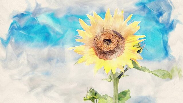 Cinemagraph of sunflower with moving blue sky in watercolor style
