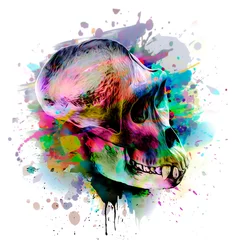 Deurstickers abstract colored artistic skull, graphic design concept, bright colorful art © reznik_val