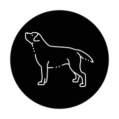 Labrador retriever color line icon. Dog breed.