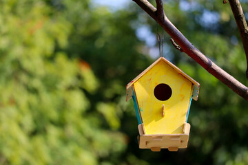 handmade bright colorful wooden bird house on a tree in the garden close up