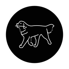 Golder retriever carries a stick color line icon. Pictogram for web page