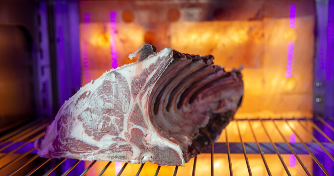 Goumet Red meat stock photo
Aging Process, Dry, T-bone Steak, Meat, Australia