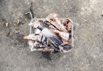 Dried fish bone