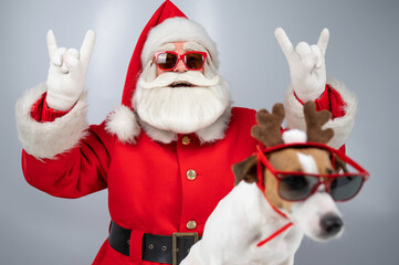 Portrait of Santa Claus in sunglasses shows a goat sign. Dog Jack Russell Terrier in Rudolph deer...