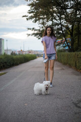 A girl is playing with a small beautiful white dog.