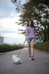 A girl is playing with a small beautiful white dog.