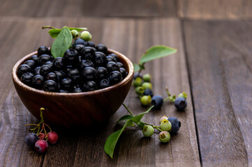 収穫したブルーベリーの実