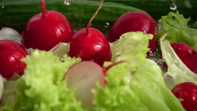 Radish, cucumbers and lettuce leaves in a stream of